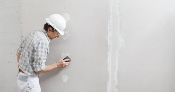 Best Drywall Removal and Disposal  in Pelican Bay, TX